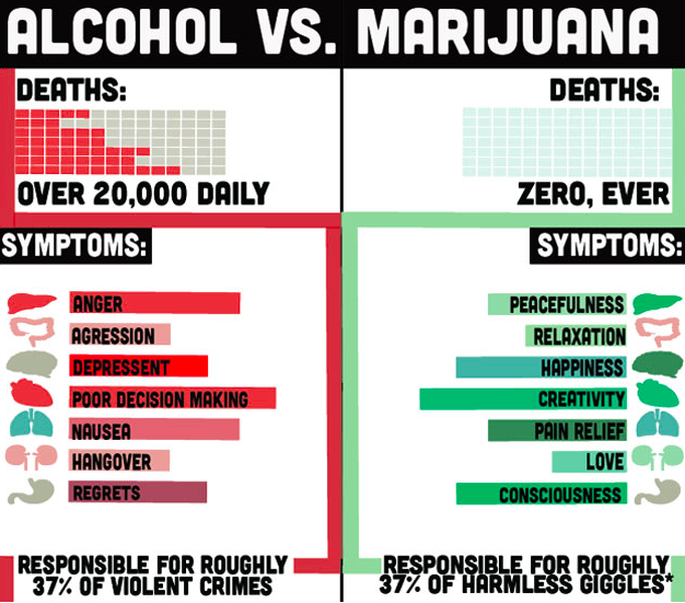 Marihuana a antybiotyki i alkohol – wolno czy nie?